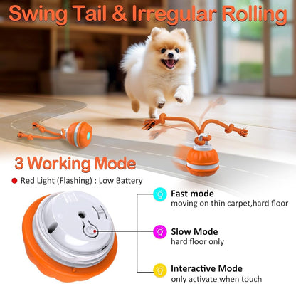 TwinklePaw™ Motion Ball
