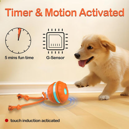 TwinklePaw™ Motion Ball