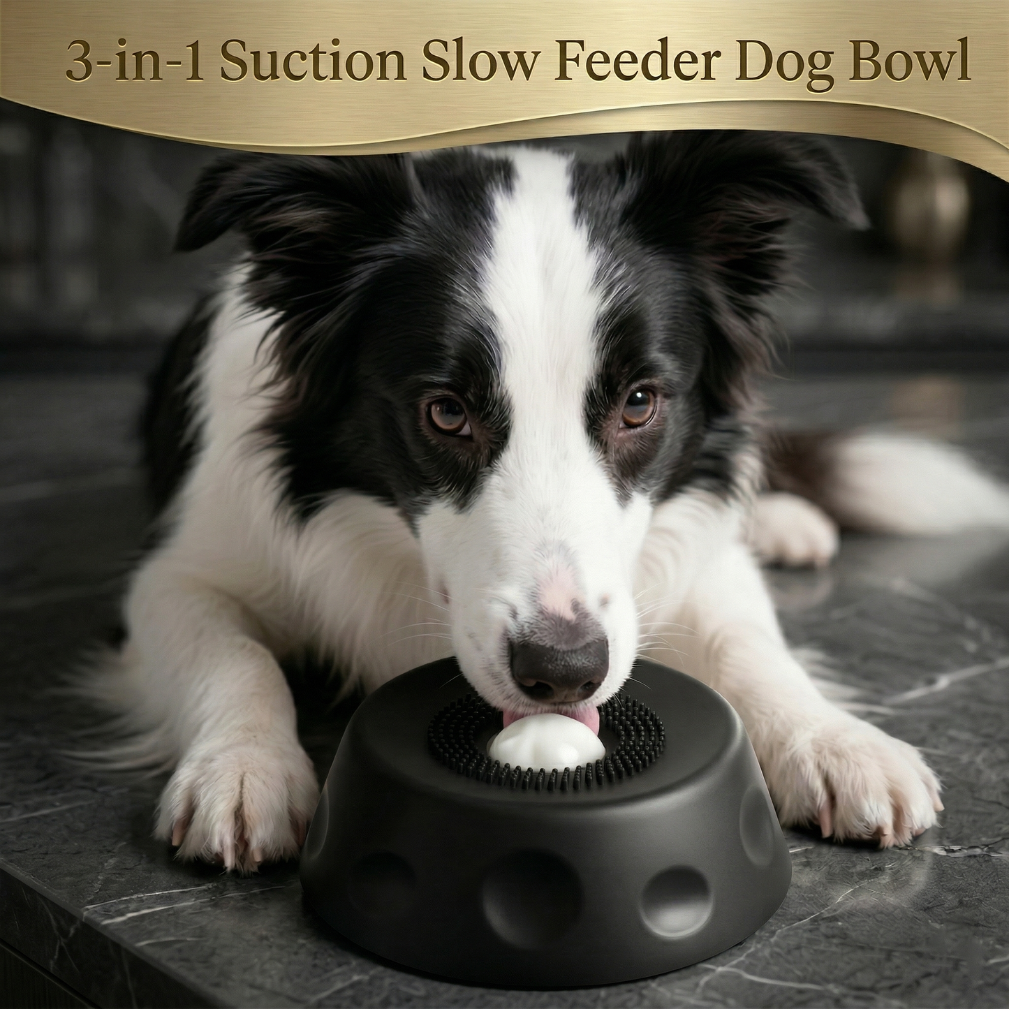 TwinklePaw™ Pro Enrichment Bowl