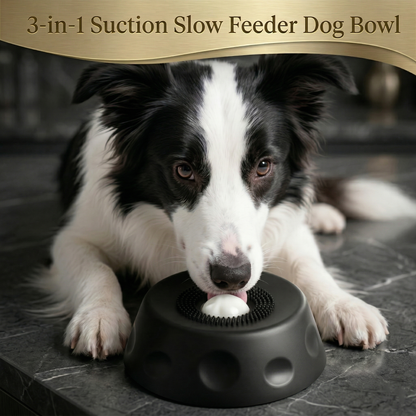 TwinklePaw™ Pro Enrichment Bowl