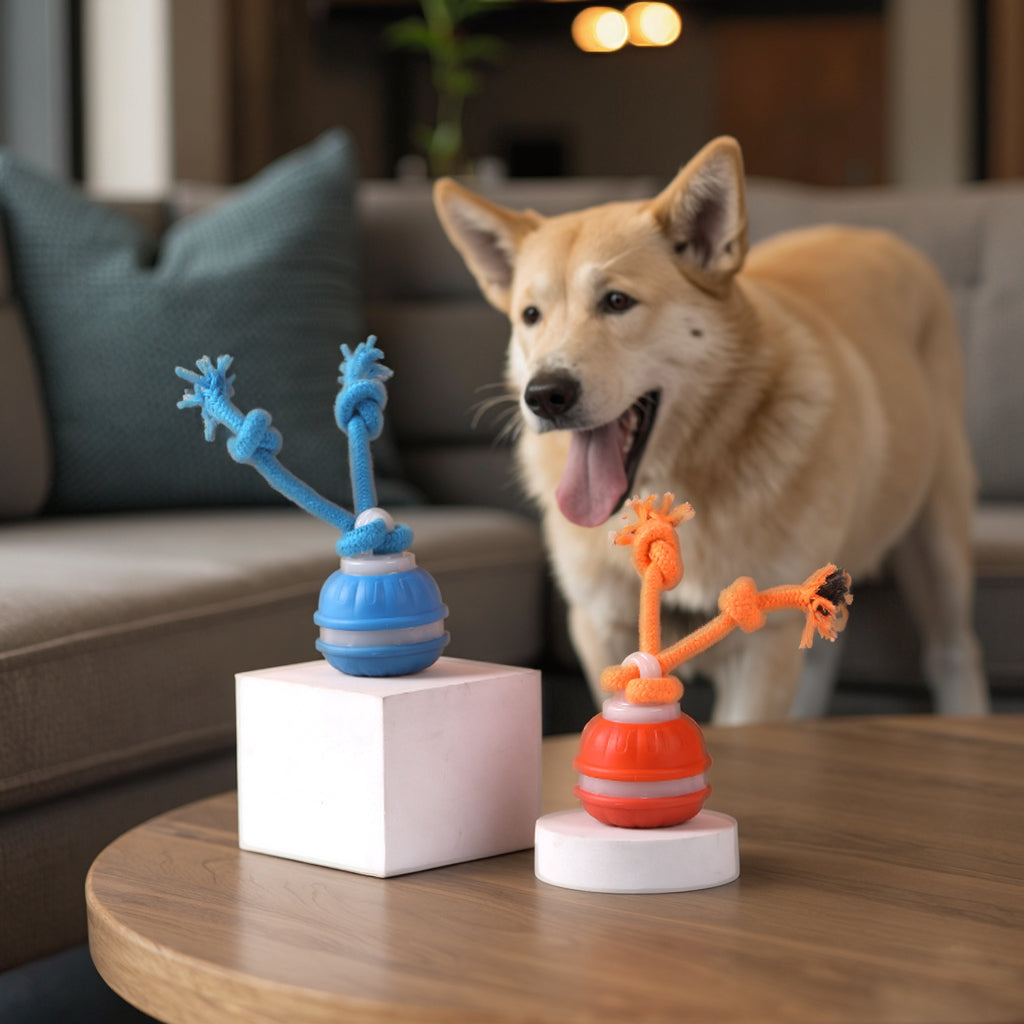 TwinklePaw™ Motion Ball