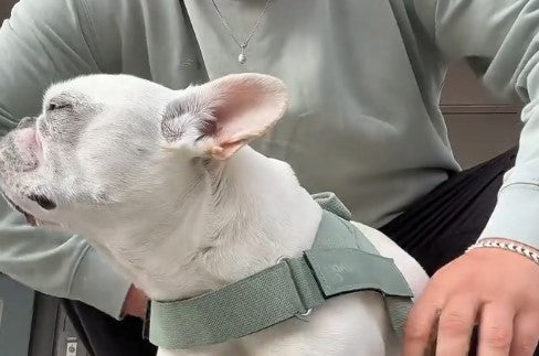 files/Screenshot_2026-05-09_124053.jpg