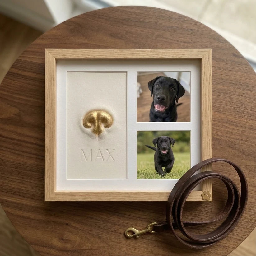Forever Nose Print Kit