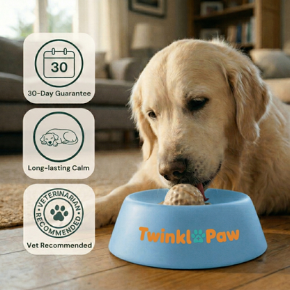 TwinklePaw™ Enrichment Bowl