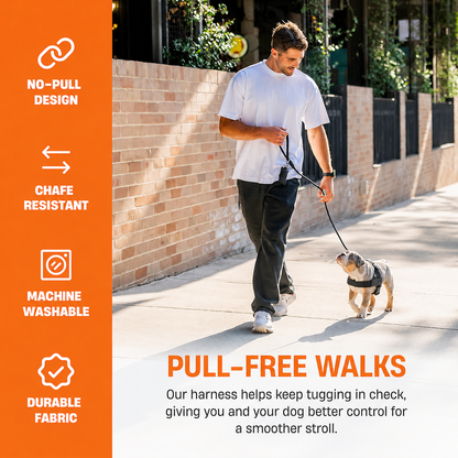 Dog Friendly NoPull Harness